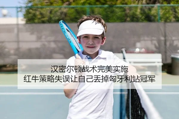 汉密尔顿战术完美实施 红牛策略失误让自己丢掉匈牙利站冠军